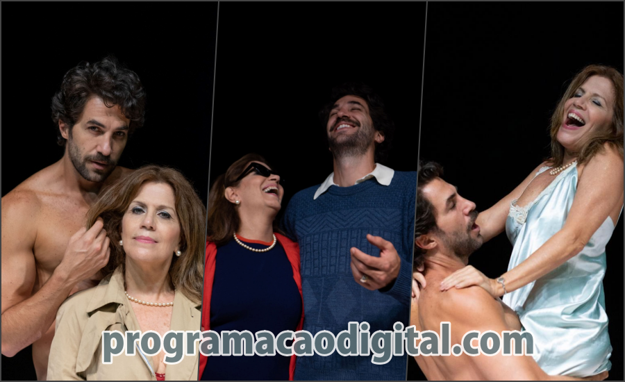 Teatro : Uma Aprendizagem ou O Livro dos Prazeres - programação digital