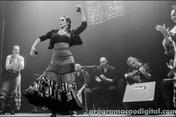 Espetáculo Vivir leva a resistência do flamenco para o palco do Teatro do Sesc Alberto Bins em Porto Alegre