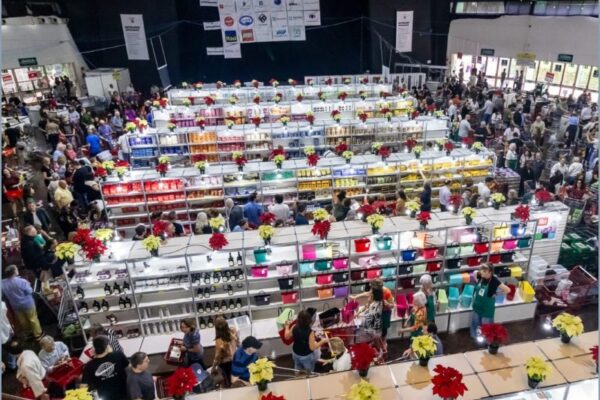 Feira Escandinava em São Paulo - Escandinava Nordlyset - programacaodigital.com
