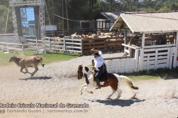 Rodeio Crioulo Nacional de Gramado 2026 - programacaodigital.com