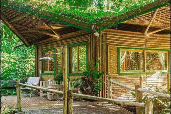 Outono em Ubatuba no litoral paulista: temporada de natureza, tranquilidade e experiências imersivas