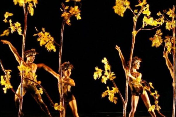 Companhia norte-americana MOMIX apresenta espetáculo 'Botânica' no Teatro Positivo em Curitiba