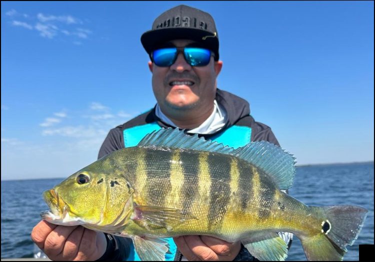 Pesca esportiva no balneário turístico Porto Camargo em Icaraíma / PR
